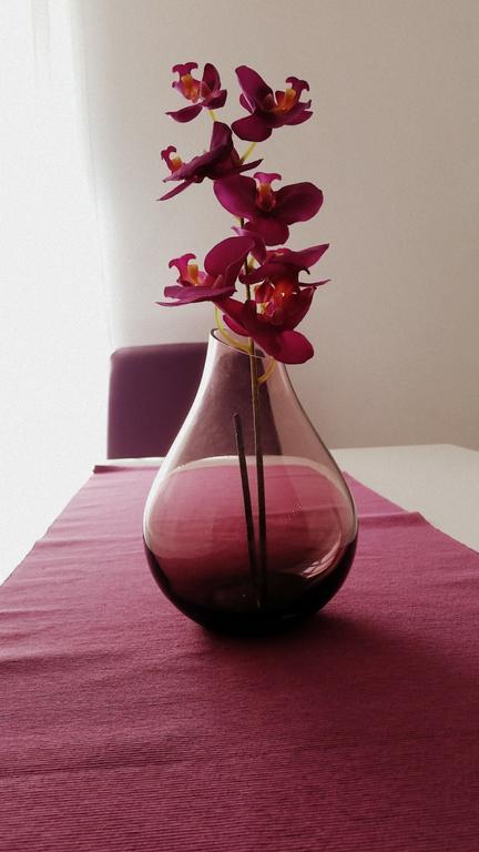 Apartment Soric Senj  Εξωτερικό φωτογραφία